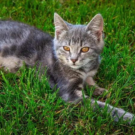 Bio-bauernhof Hirschleiten