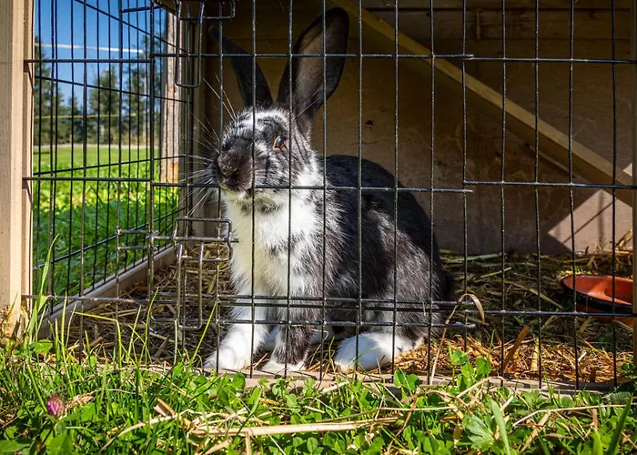 Apartmán Bio-bauernhof Hirschleiten