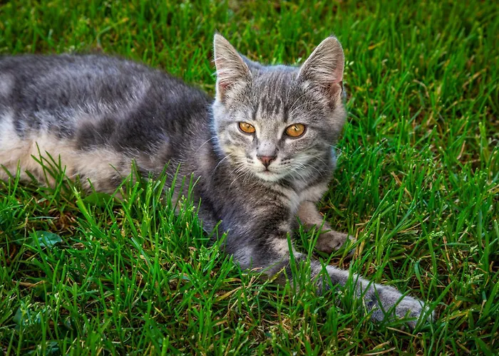 Bio-bauernhof Hirschleiten